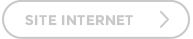Site internet